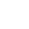 Auge 100